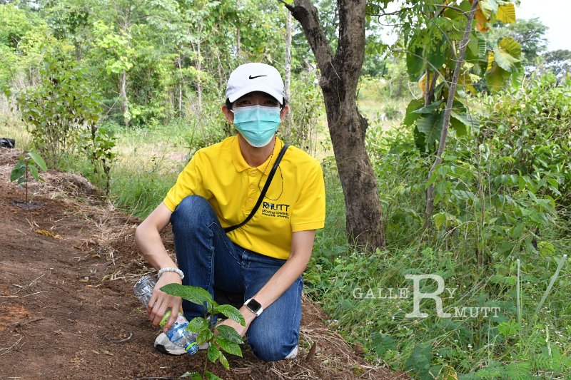 20210526-Tree planting dayt-092.JPG
